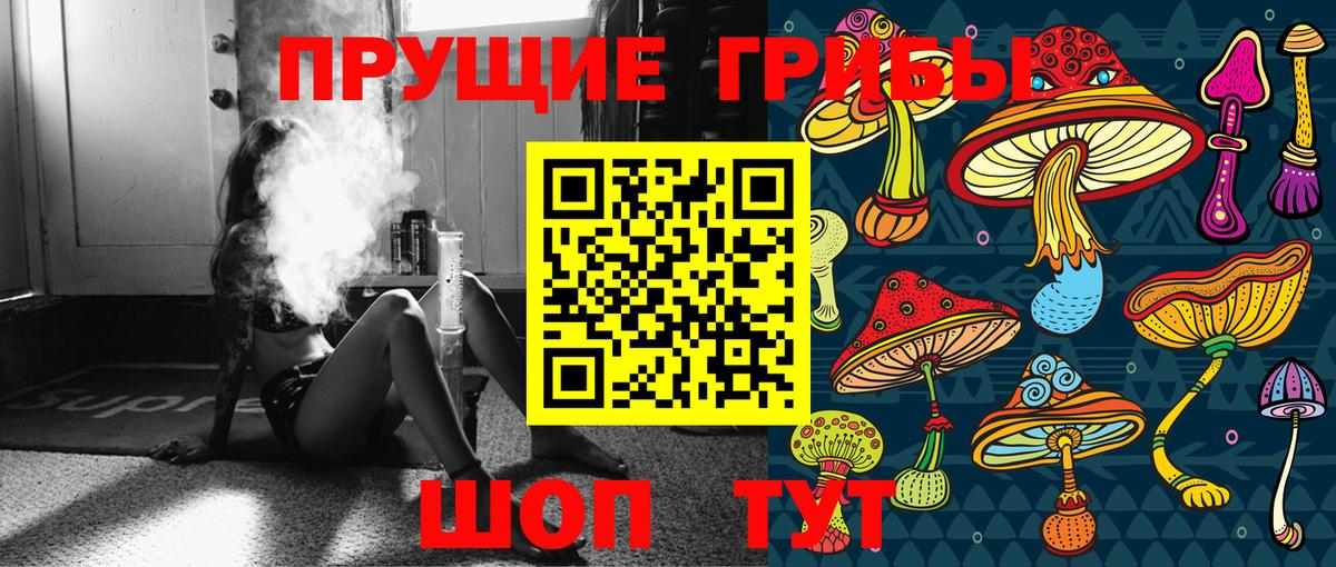 Псилоцибиновые грибы прущие грибы Кузнецк