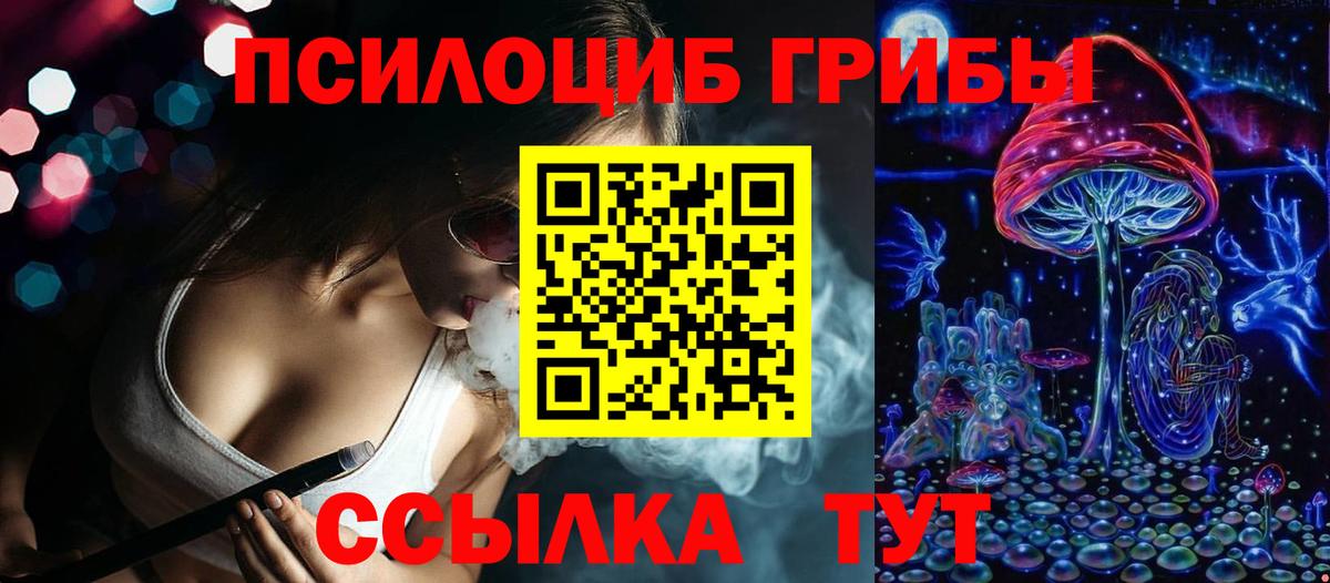 где купить наркотик  Псилоцибиновые грибы прущие грибы  Вход с VPN  Кузнецк 